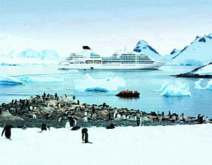 White Continent calling