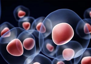 Patient with severe burns treated using stem cell therapy