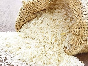 Exporters want PM to protect Basmati sales to Europe