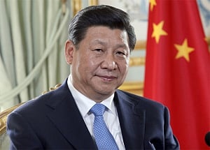 Supporting Africa's development conducive to balanced growth: Xi