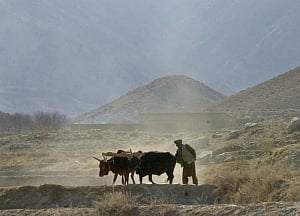 No proposal to write off farm loans, says govt