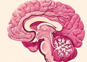 Nine lifestyle changes may cut dementia risk: study