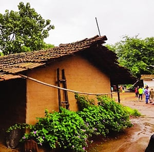 Saving Aarey