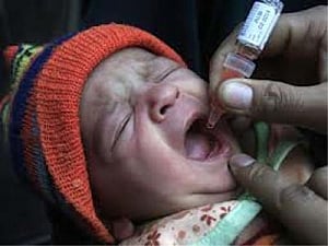 Plant-based vaccines could help eradicate polio virus