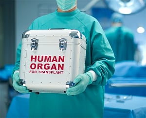 Donate a life