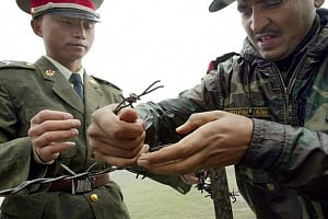 Dragon gives in to  Doklam diplomacy