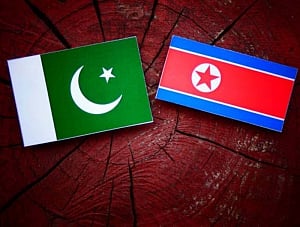 India calls for action on Pakistan-N.Korea nuclear-missile links
