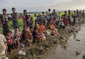 Nearly 590,000 Rohingya refugees in Bangladesh threatened by diseases: UN