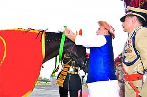 Gallant Black Beauty, Machhli win MHA laurels