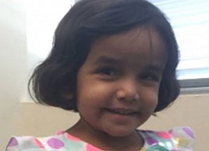 Indian-American foster dad facing life term in Sherin's death case: police