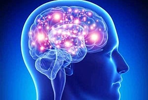 'High-intensity exercise may alter brain's glucose metabolism'
