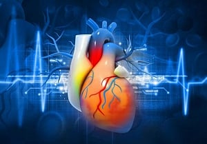 High thyroid hormone levels may up heart disease in elderly