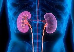 Air pollution causing kidney disease in millions