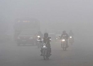 Air pollution: NGT bans construction, waste burning in Delhi