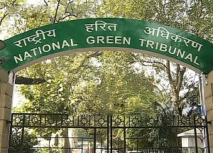 Install rainwater harvesting system in two months: NGT to Delhi schools, colleges