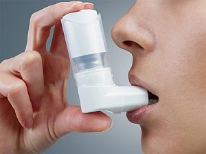 Gut bacteria, not just genetics, linked to asthma