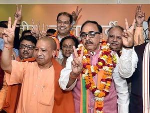 BJP set to sweep UP civic polls; Cong fares poorly in Amethi