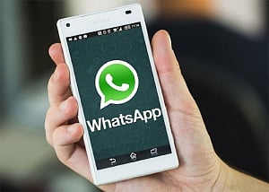 WhatsApp to let group admins stop other members from posting