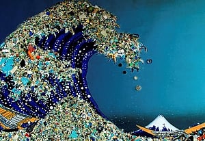 British envoy draws attention to plastic pollution in oceans