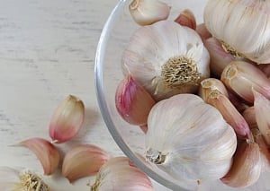 Combination of garlic, fluorine may treat diseases: study