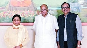 Maya meets Pawar: The birth of Maharashtra mahagathbandhanij