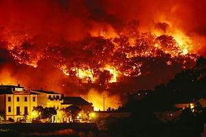 Our future: Hothouse earth