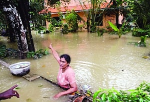Deluge be dammed