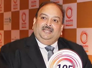 Antigua examining India's request to extradite Choksi: MEA