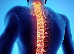 'New 3D-printed device may help treat spinal cord injuries'