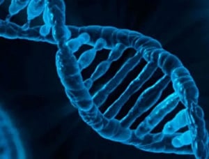 DNA Technology Bill; 'Centre will answer every concern'