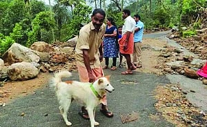 Dog's warning howl saves family from landslip in Kerala