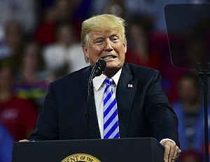 Trump's former lawyer pleads guilty, implicates president