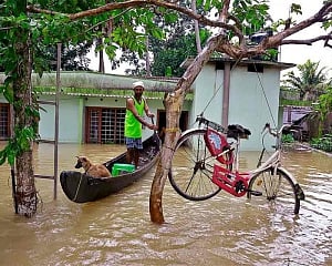 Clean-up operations gather steam in flood-hit Kerala