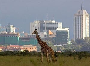 India to explore avenues to boost exports to Kenya