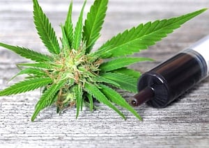 Cannabidiol effective against depression: Study