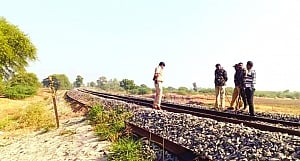 3 Asiatic lions  mowed down  by train in Guj