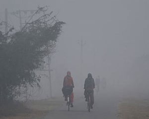 7 killed, 4 injured in accident due to heavy fog in Haryana
