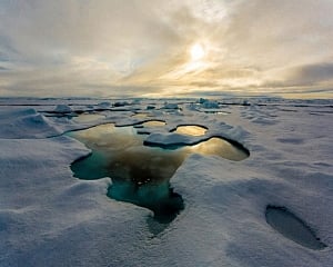 Arctic sea ice decline slows down temporarily: NASA