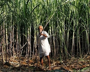 Australia takes India to WTO over sugar subsidies
