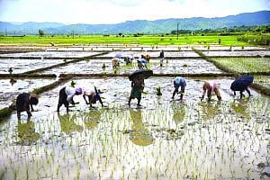 BJP writes off Rs 600 cr debt in Assam, Rs 650 cr Gujarat rural power bill