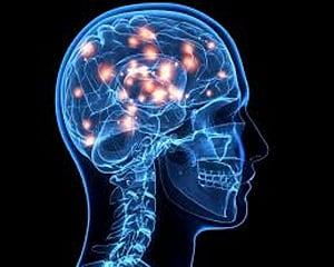 Brain responds more quickly to angry voices: Study