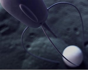 Cell-sized robots to help detect diseases