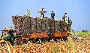 Centre devises holistic cure of farmers’ woes