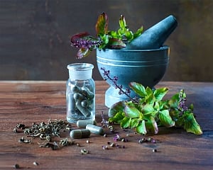 Clinical trials on Ayurvedic medicine against dengue underway: Naik