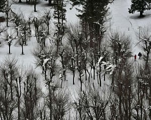 Cold wave intensifies in Kashmir; Leh shivers at minus 17.1C