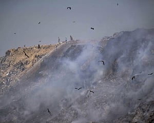 Delhi's air quality slips to 'very poor', firefighting continues  at Bhalswa landfill