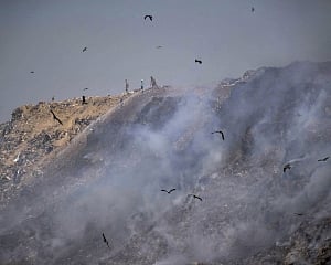 Delhi's air quality slips to 'very poor', firefighting continues at Bhalswa landfill