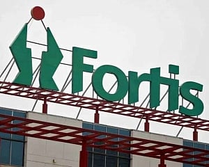 Deloitte Haskins resigns as Fortis Healthcare's statutory auditor