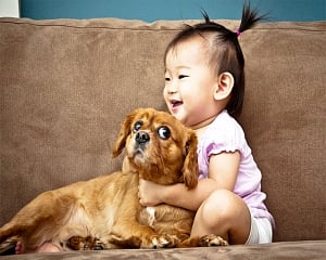 Exposure to pets during infancy reduce allergies later in life: Study