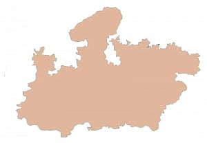 Eye to State elections, Cong pursues youth